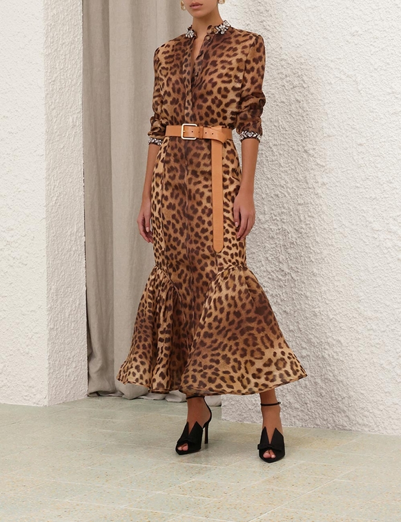 3.2343sr251.leo.leopard.jpg